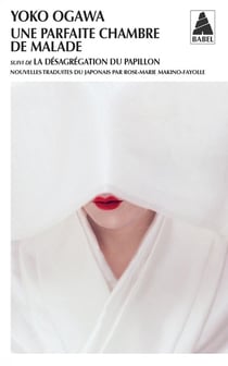 Une parfaite chambre de malade - la désagrégation du papillon