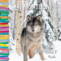 Qui est caché ? - la montagne