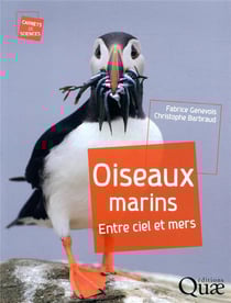 Oiseaux marins - entre ciel et mers