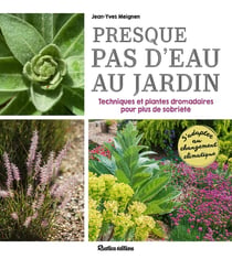 Presque pas d'eau au jardin : techniques et plantes dromadaires pour plus de sobriété