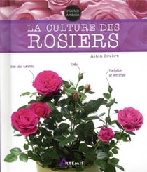 La culture des rosiers