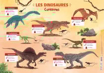 Les dinosaures