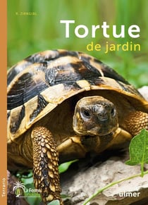 La tortue de jardin