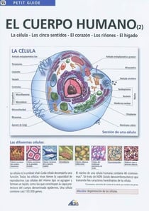 El cuerpo humano t.2