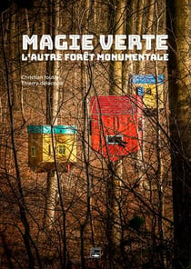Magie verte : une autre vision de la forêt
