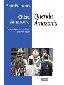 Chère Amazonie (querida Amazonia)