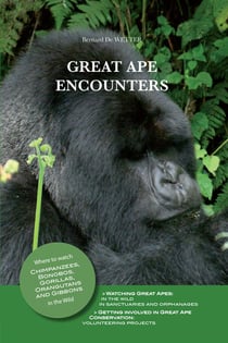Great ape encounters - where to watch chimpanzees, bonobos, gorillas, orangutans and gibbons in the wild