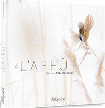À l'affut