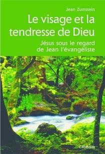 Le visage et la tendresse de dieu - Jésus sous le regard de Jean l'évangéliste