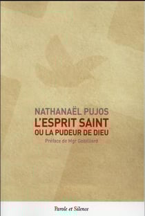 L'esprit saint, ou la pudeur de dieu