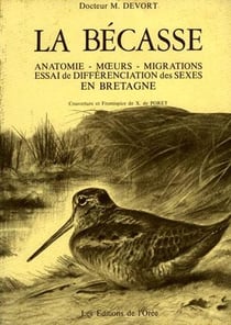 La becasse