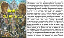 AU-DELA DES MOISSONS T12