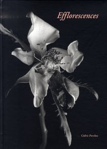 Efflorescences
