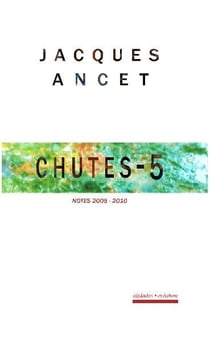 Chutes Tome 5 : notes 2005-2010