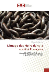 L'image des noirs dans la societe francaise