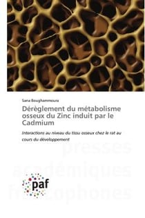Dérèglement du métabolisme osseux du zinc induit par le cadmium : interactions au niveau du tissu osseux chez le rat au cours du développement
