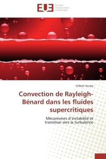 Convection de rayleigh-benard dans les fluides supercritiques - mecanismes d'instabilite et transiti