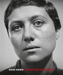 Roni horn the detour of identity /anglais