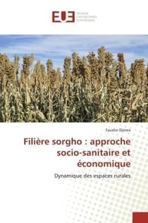 Filière sorgho : approche socio-sanitaire et économique : Dynamique des espaces rurales