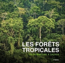 Les forêts tropicales.- un patrimoine à sauver