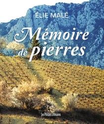Mémoire de pierres