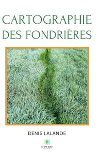 Cartographie des fondrières