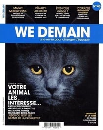 We Demain n.40 : magic mushrooms, pénalty au Qatar, êtes-vous hygge ? écorazzis