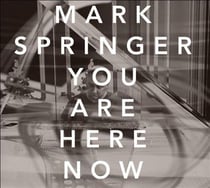 Springer, Mark : You Are Here Now
