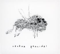 Geocidal