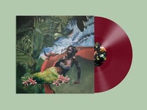 Align With Nature's Intelligence - édition colorée