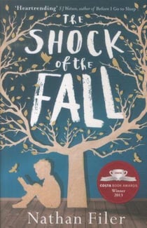 The shock of the fall