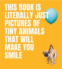 This book is literally just pictures of tiny animals that will make you smile /anglais
