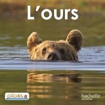 Pilotis : français - lecture - CP - l'ours