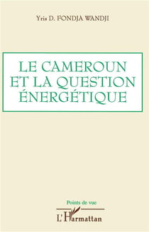 Le cameroun et la question énergetique