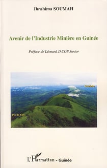 Avenir de l'industrie minière en guinée