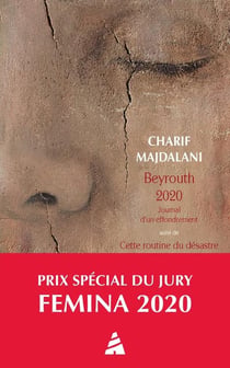 Beyrouth 2020 : journal d'un effondrement