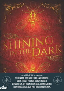 Shining in the dark