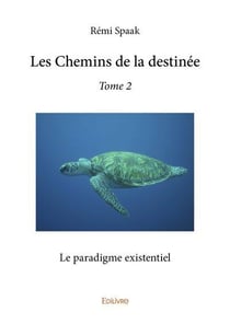 Les chemins de la destinee - t02 - les chemins de la destinee - le paradigme existentiel