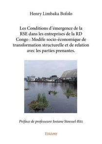 Les conditions d emergence de la rse dans les entreprises de la rd congo : modele socio-economique d