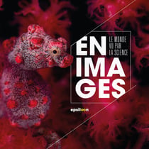 Le monde vu par la science en images