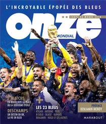 Onze mondial - l'incroyable épopée des bleus