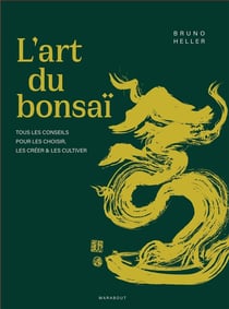 L'art du bonsaï : Tous les conseils pour les choisir, les créer et les cultiver