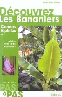 Decouvrez les bananiers - et alpinia, canna, curcuma, etlingera, hedychium, heliconia, ravenala, str