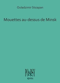 Mouettes au-dessus de Minsk