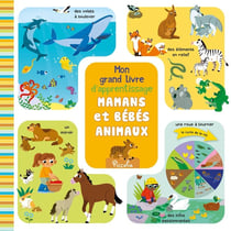 Mon grand livre d'apprentissage : Mamans et bébés animaux