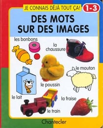 Je connais deja tout ca ! des mots sur des images