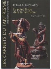 Carnet t.11 - le pont Bindu dans le tantrisme