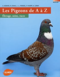 Le pigeon de a à z