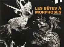 Les bêtes à morphoses - art et soin psychique