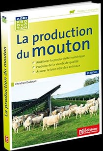 La production du mouton